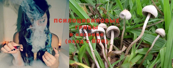 МДПВ Сосновка